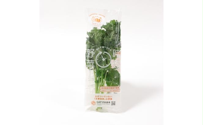 なばリーフ 贅沢 ケール パック 8p入/ 水耕栽培 時短 野菜 特殊フィルム包装 新鮮 洗わずに食べられる 無洗 炒め物 煮物 サラダ スムージー 青汁 手軽 安全 安心 栄養 健康