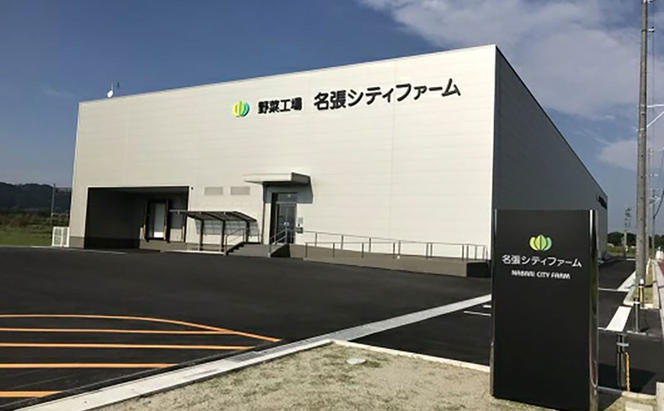 なばリーフ 贅沢 ケール パック 8p入/ 水耕栽培 時短 野菜 特殊フィルム包装 新鮮 洗わずに食べられる 無洗 炒め物 煮物 サラダ スムージー 青汁 手軽 安全 安心 栄養 健康