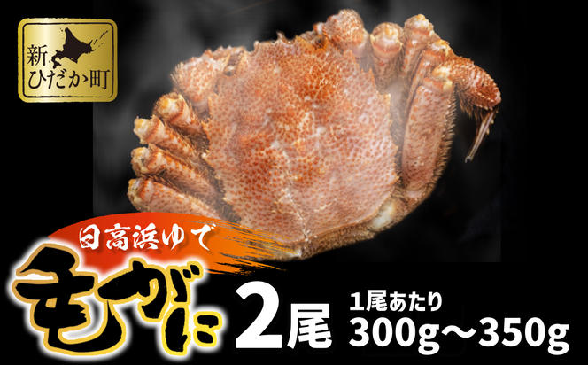 北海道産 浜ゆで 毛ガニ 2尾 計 600g 以上  1尾あたり 300g ～ 350g 北海道 冷凍 毛蟹 毛がに けがに かに 蟹 カニ かに味噌 カニ味噌 新鮮 旬 ボイル 浜茹で 海鮮 海産物 魚介 蟹味噌 みそ 新ひだか町