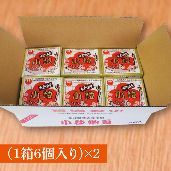 水戸納豆 小粒 12個(1箱6個入り×2)｜納豆 水戸納豆 小粒 小粒納豆 茨城県 行方市(BD-2)