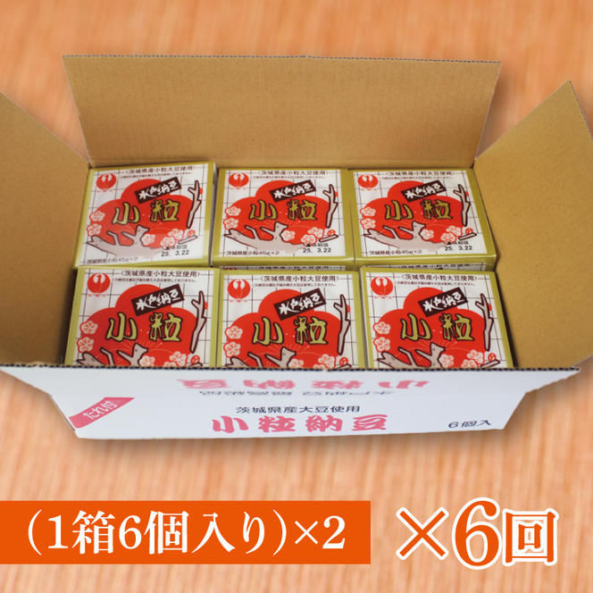 【6ヶ月定期便】水戸納豆 小粒 12個(1箱6個入り×2)｜納豆 水戸納豆 定期便 小粒 小粒納豆 茨城県 行方市(BD-4)
