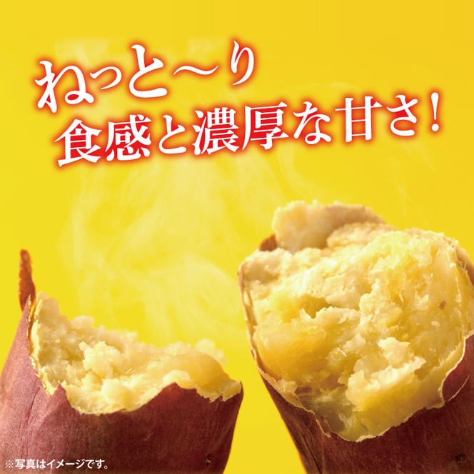 【先行予約】【訳あり】完熟高糖度 さつまいも（紅はるか）約5kg（サイズ：2L～4L）【熟成 サツマイモ 焼き芋 キュアリング 茨城県 鹿嶋市産】【2025年6月～順次発送】（KDV-001）