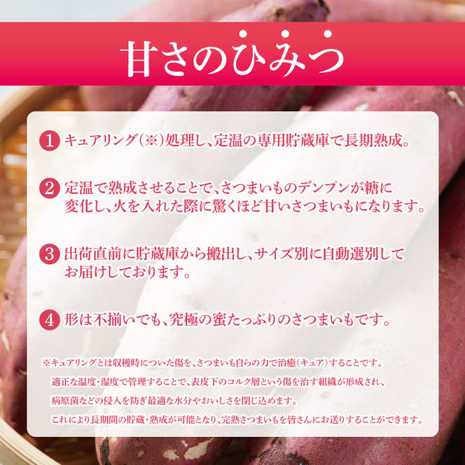 【先行予約】【訳あり】完熟高糖度 さつまいも（紅はるか）約5kg（サイズ：2L～4L）【熟成 サツマイモ 焼き芋 キュアリング 茨城県 鹿嶋市産】【2025年6月～順次発送】（KDV-001）