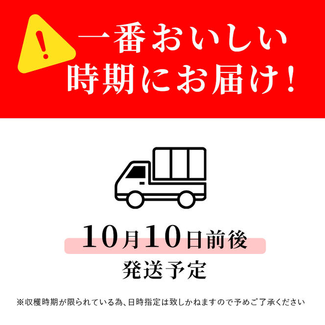志賀高原の麓で育った 秋映 （家庭用）約10kg  りんご 10kg フルーツ 果物 デザート おやつ 長野県 長野