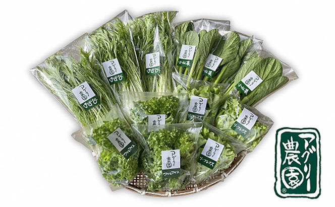 アグリー農園水耕栽培おまかせお野菜セット