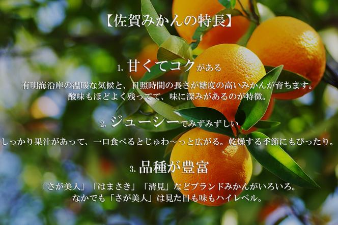 DV144_南津海（なつみ）みかん2.5kg