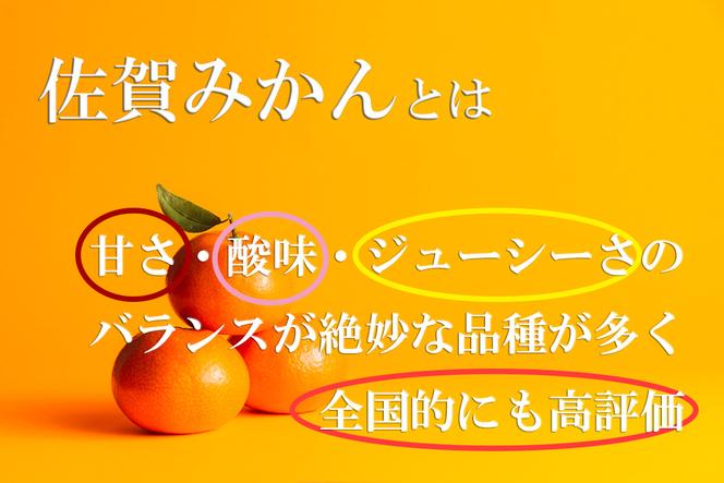 DV146_【計７回】柑橘好きのための佐賀みかん定期便