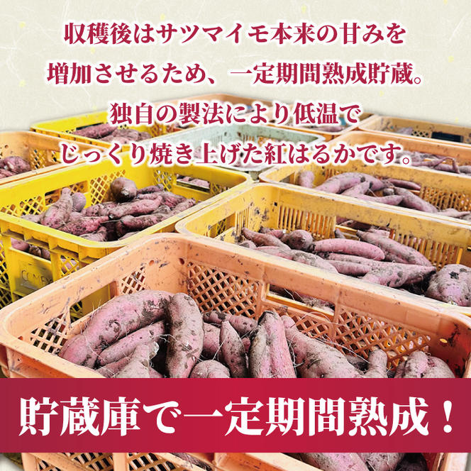【2026年2月より順次発送】冷凍焼き芋 約1kg（紅はるか）｜焼き芋 やきいも 焼きいも さつまいも 紅はるか サツマイモ 先行予約 予約 茨城県 取手市（AS008）