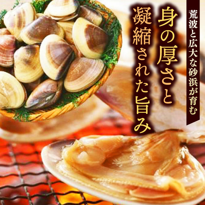 いばらき満喫Bセット 「鹿島灘産 はまぐり」＋「【茨城県共通返礼品】常陸の輝き (豚肉) 味噌漬け」【蛤 ハマグリ 三元豚 豚 ぶた ブタ セット バーベキュー BBQ 贈答用 ギフト 鹿嶋市 茨城】(KBL-21)