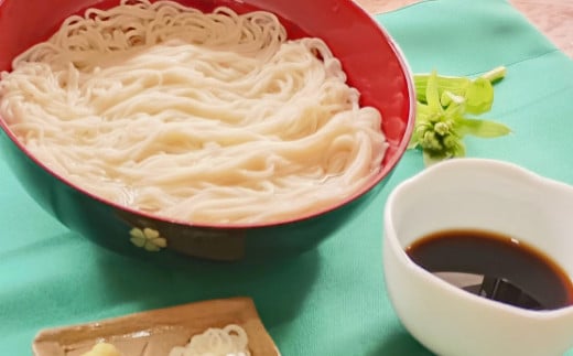 生そうめん 100g×5人前×2セット | そうめん 10人前 10食 セット 麺 麺類 辛汁 冷凍 茨城県 守谷市