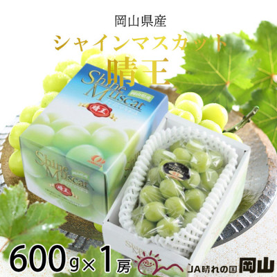 【2025年7月上旬より発送】岡山県産 シャインマスカット 晴王 600g×1房 ぶどう 葡萄 ブドウ フルーツ 果物
