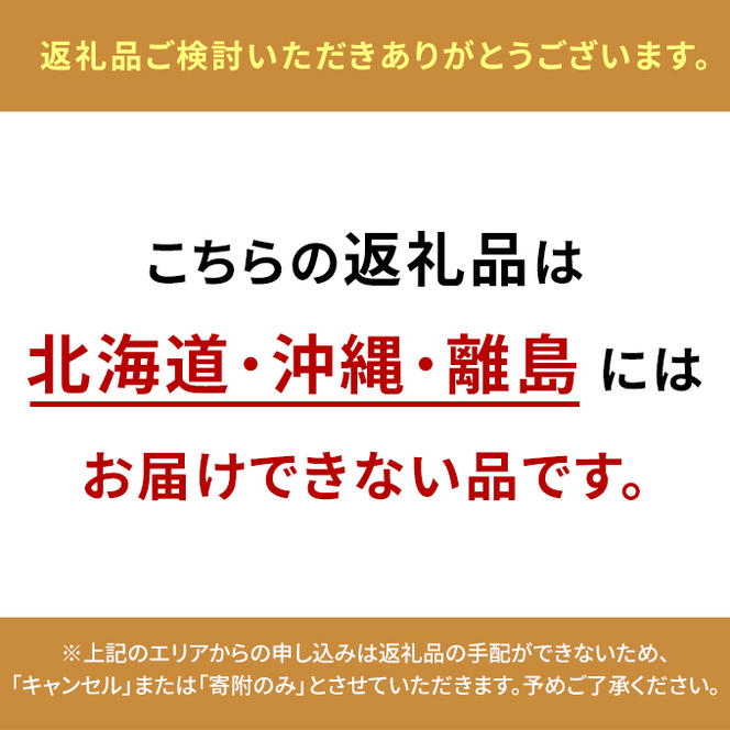 【2025年7月上旬より発送】岡山県産 シャインマスカット 晴王 600g×1房 ぶどう 葡萄 ブドウ フルーツ 果物