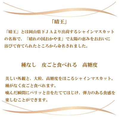 【2025年7月上旬より発送】岡山県産 シャインマスカット 晴王 600g×1房 ぶどう 葡萄 ブドウ フルーツ 果物