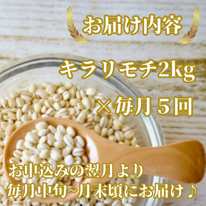 CIB30_【５回定期便】キラリモチ２ｋｇ もち麦 キラリ もち麦ごはん