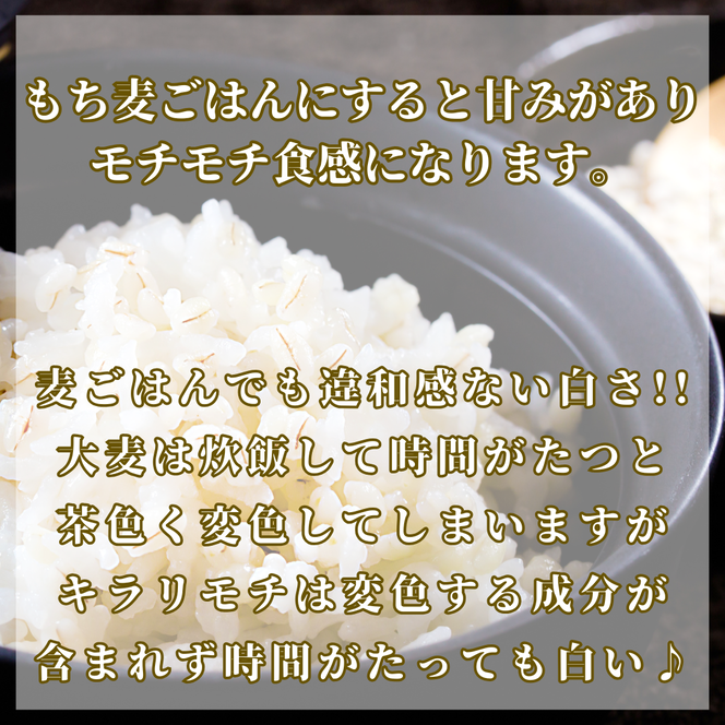 CIB30_【５回定期便】キラリモチ２ｋｇ もち麦 キラリ もち麦ごはん