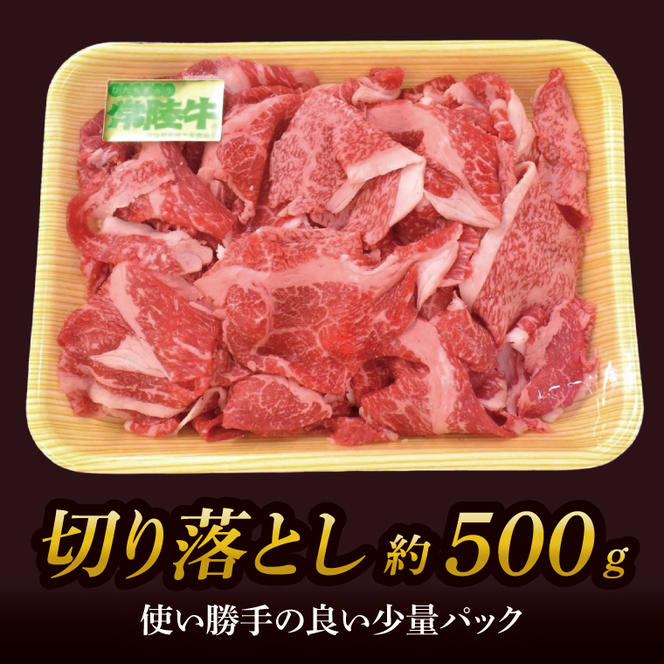 常陸牛切り落とし 約500g｜肉 お肉 牛肉 肉類 常陸牛 切り落とし ブランド 使い切り 少量 茨城県 行方市(DH-31)