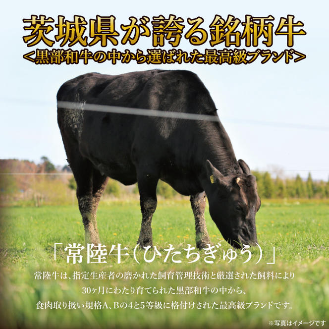 常陸牛切り落とし 約500g｜肉 お肉 牛肉 肉類 常陸牛 切り落とし ブランド 使い切り 少量 茨城県 行方市(DH-31)