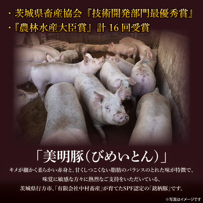 美明豚小間切れ＆常陸牛切り落とし 計1kg(各約500g×1)｜肉 お肉 牛肉 肉類 牛肉 常陸牛 美明豚 切り落とし 小間切れ セット アソート ブランド 使い切り 少量 茨城県 行方市(DH-32)