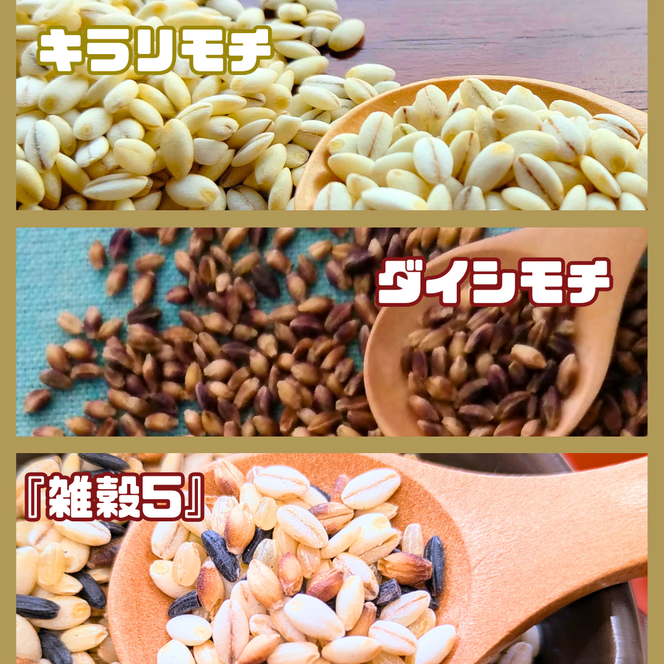 CIB25_３種類の雑穀バラエティーセットA（キラリモチ・ダイシモチ・雑穀５）各３００ｇ×３袋