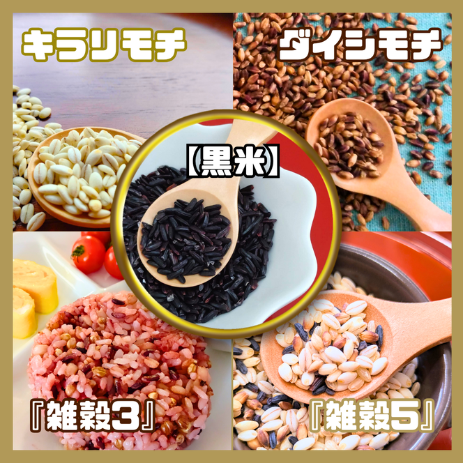 CIB26_５種類の雑穀バラエティーセットB（キラリモチ・ダイシモチ・黒米・雑穀３・雑穀５）各３００ｇ×５袋