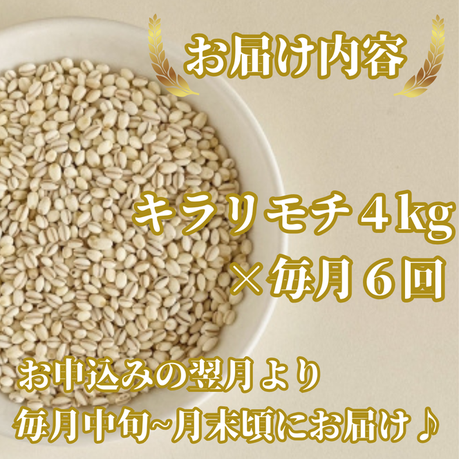 CIB33_【６回定期便】キラリモチ４ｋｇ もち麦 キラリ もち麦ごはん