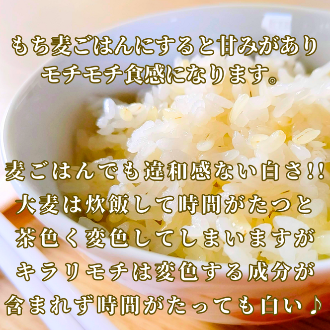 CIB33_【６回定期便】キラリモチ４ｋｇ もち麦 キラリ もち麦ごはん