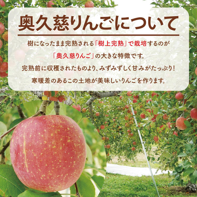 斉藤りんご園の奥久慈りんごジュース（ストレート）1000ml×3本セット（化粧箱入り）｜茨城県 大子町 林檎 果汁 100％ 無添加 フルーツ 旬 果物 子ども(CG005)