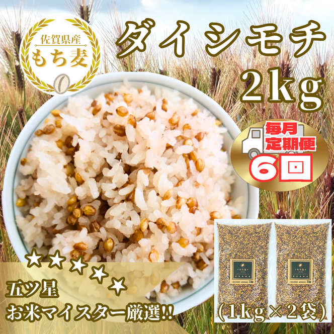 の 人気アイテムランキング CIB38_【6回定期便】ダイシモチ2kg もち麦 キラリ もち麦 米・雑穀・粉類