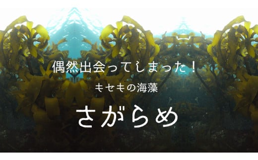 10-84超保湿スキンケア「さがらめパック（肌嬉フェイスマスクSR）7枚入」 冬の肌ケア対策に