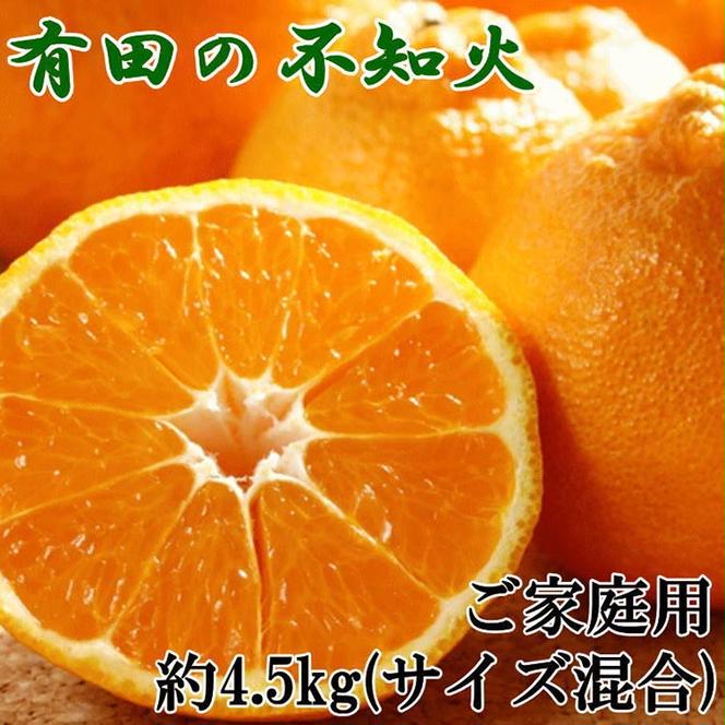 【濃厚】有田の不知火約4.5kgご家庭用向け（サイズ混合） ※2026年2月中旬～3月下旬頃に順次発送予定