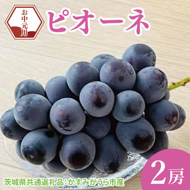 【先行予約】【お中元】ピオーネ2房（茨城県共通返礼品：かすみがうら市）（CD180）