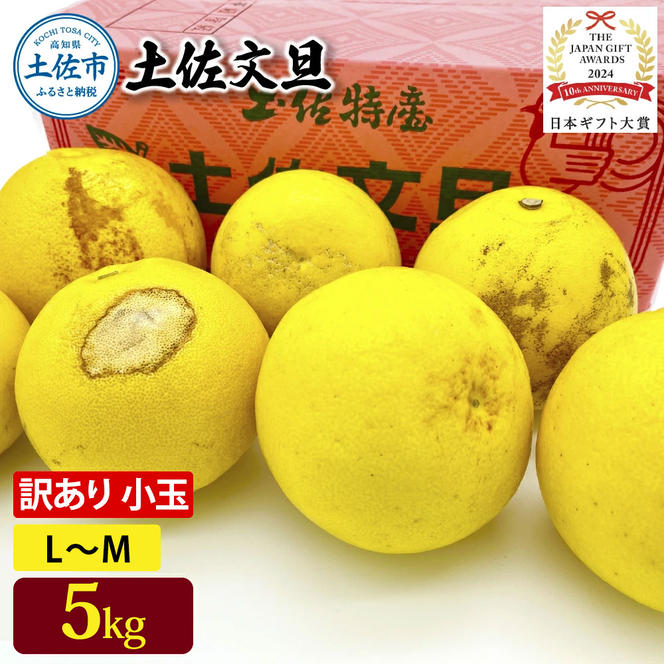 日本ギフト大賞受賞 園主こだわり土佐文旦 訳あり 小玉（L～M）5kg 5キロ 文旦 土佐文旦 ワケアリ ぶんたん ぼんたん フルーツ 果物 柑橘 みかん 蜜柑 家庭用 自宅用 高知 土佐 国産 常温