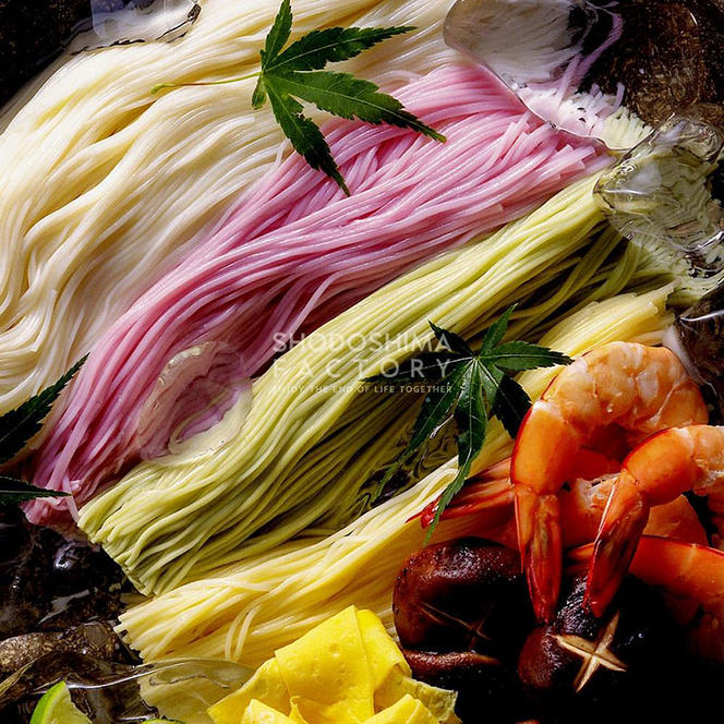 小豆島手延素麺 味比べ5種セット 単品5種 1袋250ｇ（50g×5束）