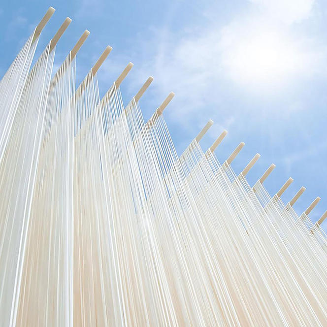 小豆島手延素麺 2種セット 2.25kg 紙箱【特級品黒帯×27オリーブ素麺×18】(50g×45束)