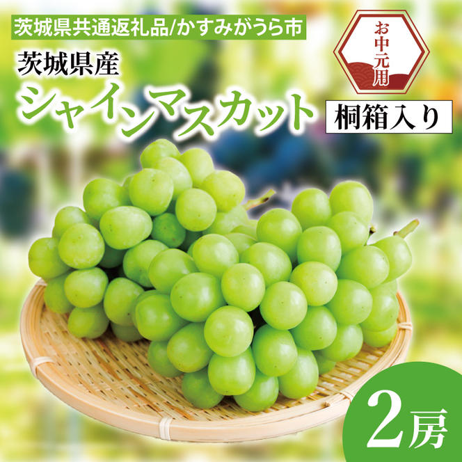 【先行予約】【お中元】シャインマスカット 桐箱入り 2房（茨城県共通返礼品：かすみがうら市）（CD184）