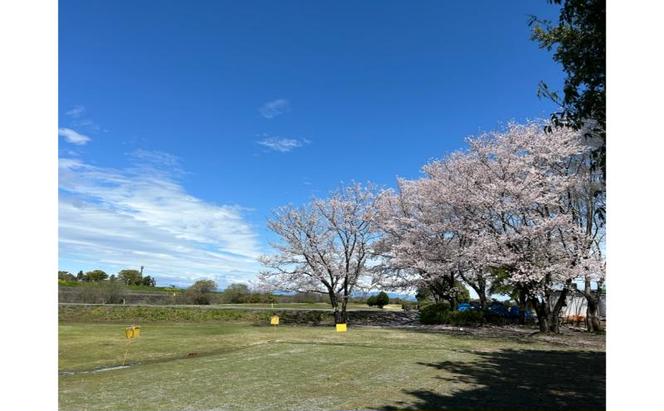 あんぱちパブリックゴルフクラブ利用券 4000円 チケット クーポン 利用権 スポーツ ゴルフ ゴルフ場 プレーチケット あんぱちパブリックゴルフクラブ 安八町 岐阜県