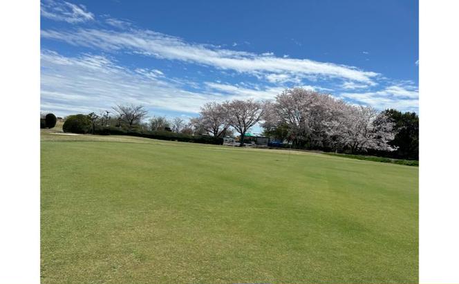 あんぱちパブリックゴルフクラブ利用券 4000円 チケット クーポン 利用権 スポーツ ゴルフ ゴルフ場 プレーチケット あんぱちパブリックゴルフクラブ 安八町 岐阜県