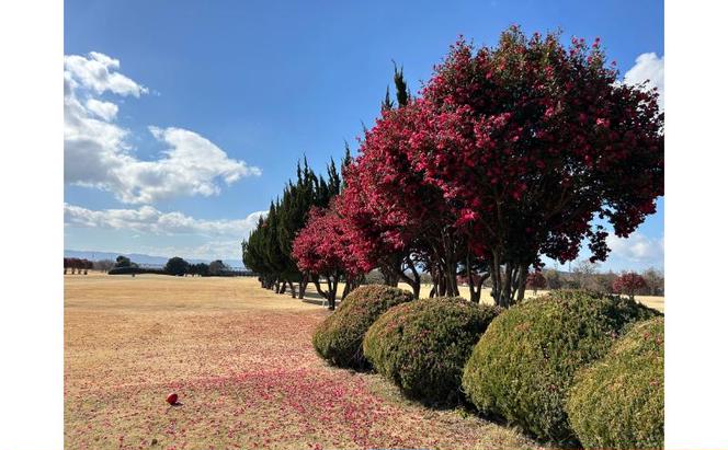 あんぱちパブリックゴルフクラブ利用券 15000円 チケット クーポン 利用権 スポーツ ゴルフ ゴルフ場 プレーチケット あんぱちパブリックゴルフクラブ 安八町 岐阜県