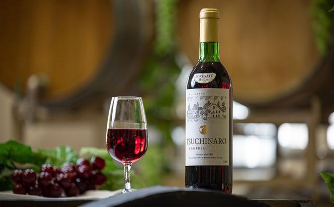 是里 ワイン 果実酒 キャンベル赤 甲州 720ml 各1本 岡山 赤磐市 お酒