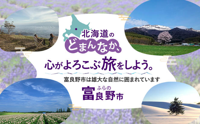 HISふるさと納税宿泊予約専用クーポン（北海道富良野市）3,000円分