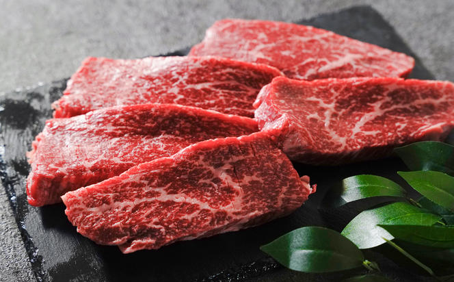 淡路牛 赤身ステーキ 500g（約100g×5枚） 【3D急速冷凍】 　　[ステーキ 赤身 ステーキ 国産 ステーキ 赤身肉 ステーキ ステーキ]
