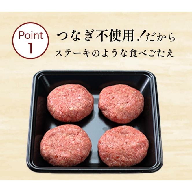 【4回 定期便 ／3ヵ月ごとにお届け】 海賊ステーキハンバーグ 150g×20個 ハンバーグ ソース付き 信州牛100% 長野 信州 小諸 繋ぎなし 冷凍 個包装