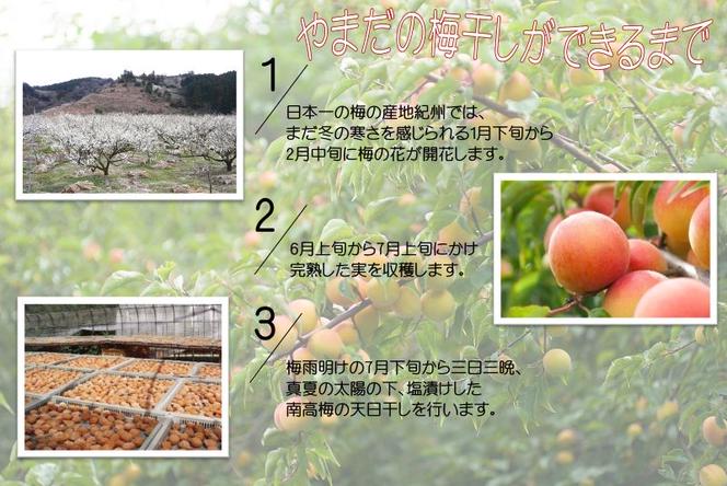 YD1004_紀州南高梅しそ塩分約15％（850ｇ）