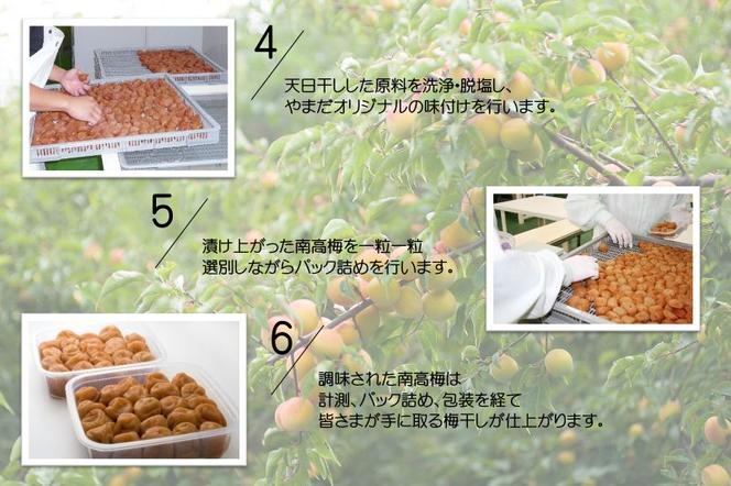 YD1004_紀州南高梅しそ塩分約15％（850ｇ）