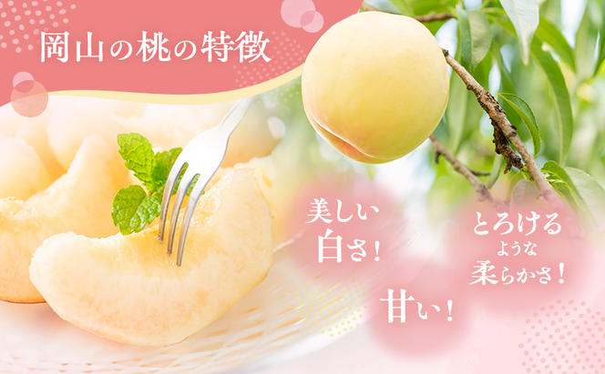 桃 2025年 先行予約 おかやま 夢 白桃 約1.8kg 5～7玉 進物用 もも モモ フルーツ 果物 岡山 赤磐市産 農マル園芸 あかいわ農園 白鳳 家庭用 