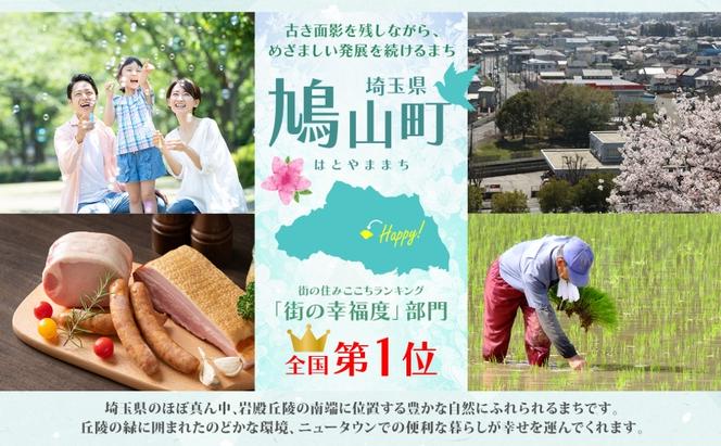 オリジナルショルダー型 ネコバッグ デニム ショルダー バッグ 猫 ねこ ネコ オールシーズン 裏地付き 綿 コットン 内ポケット 合わせやすい 埼玉県 鳩山町