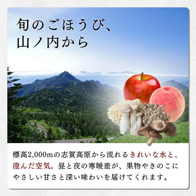 志賀高原の麓で育った ぐんま名月 秀18玉 約5kg りんご 5kg フルーツ 果物 デザート 長野