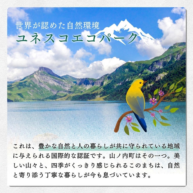 志賀高原の麓で育った ぐんま名月 秀18玉 約5kg りんご 5kg フルーツ 果物 デザート 長野