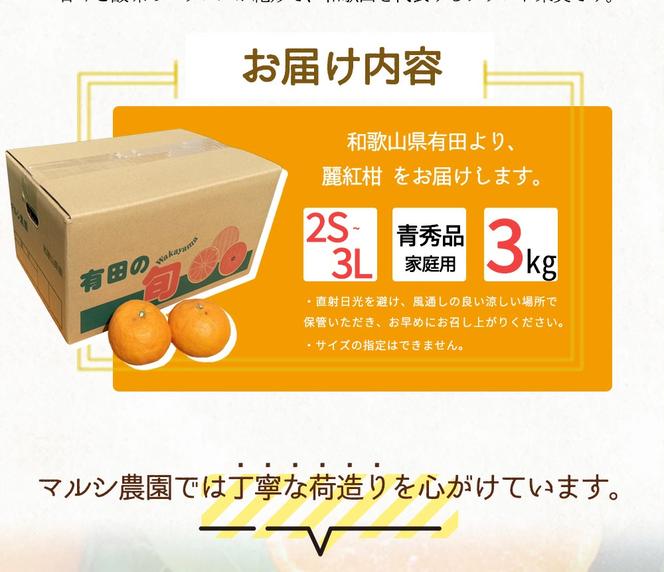BF6063_（2026年先行受付）麗紅柑 (れいこう) 青秀品 (家庭用) 2S～3Lサイズ 3kg 和歌山有田産