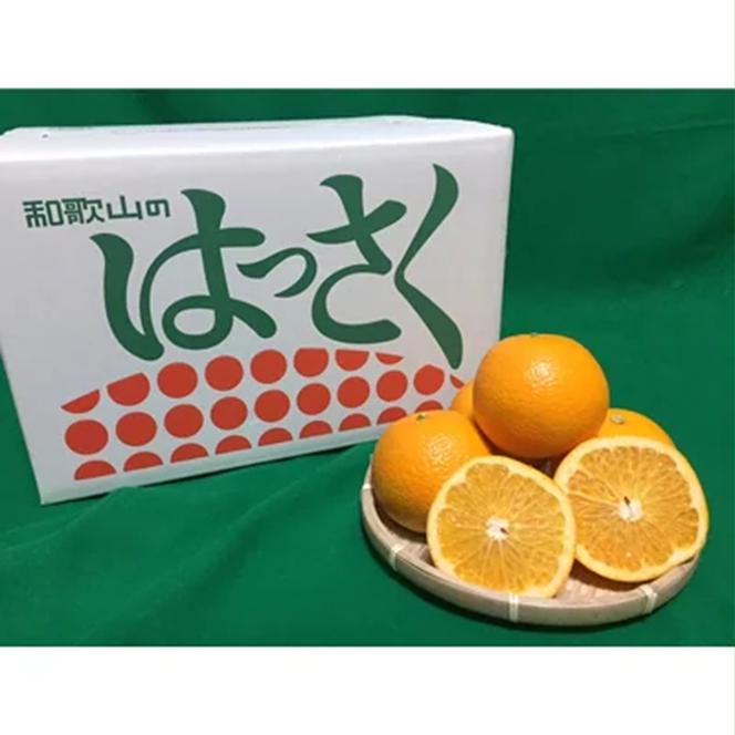 まごころ手選別】有田のはっさく【八朔】約10kg L～2Lサイズ